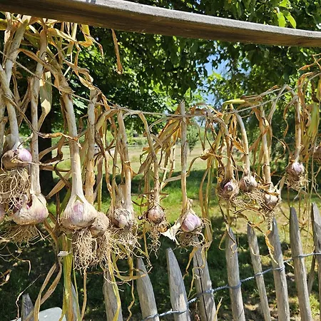 La Taupiniere Rustique Table D'hotes Gastronomique Отель типа 