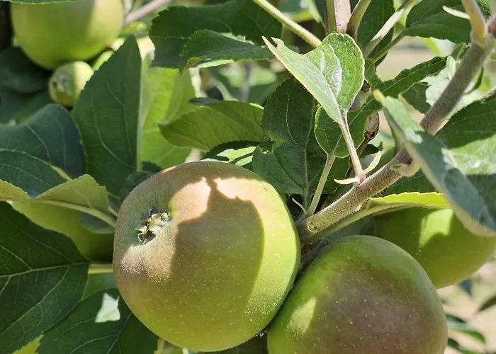 فندق مبيت وإفطار La Taupiniere Rustique Table D'hotes Gastronomique 3*